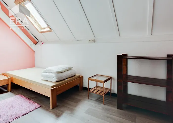 Albatros 20 * Nieuwpoort